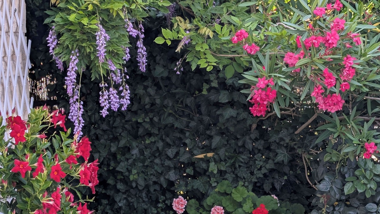 Photo of Outdoor in Brive-la-Gaillarde