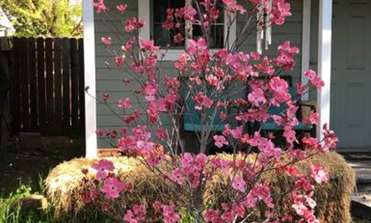 Photo of Outdoor in Auburn