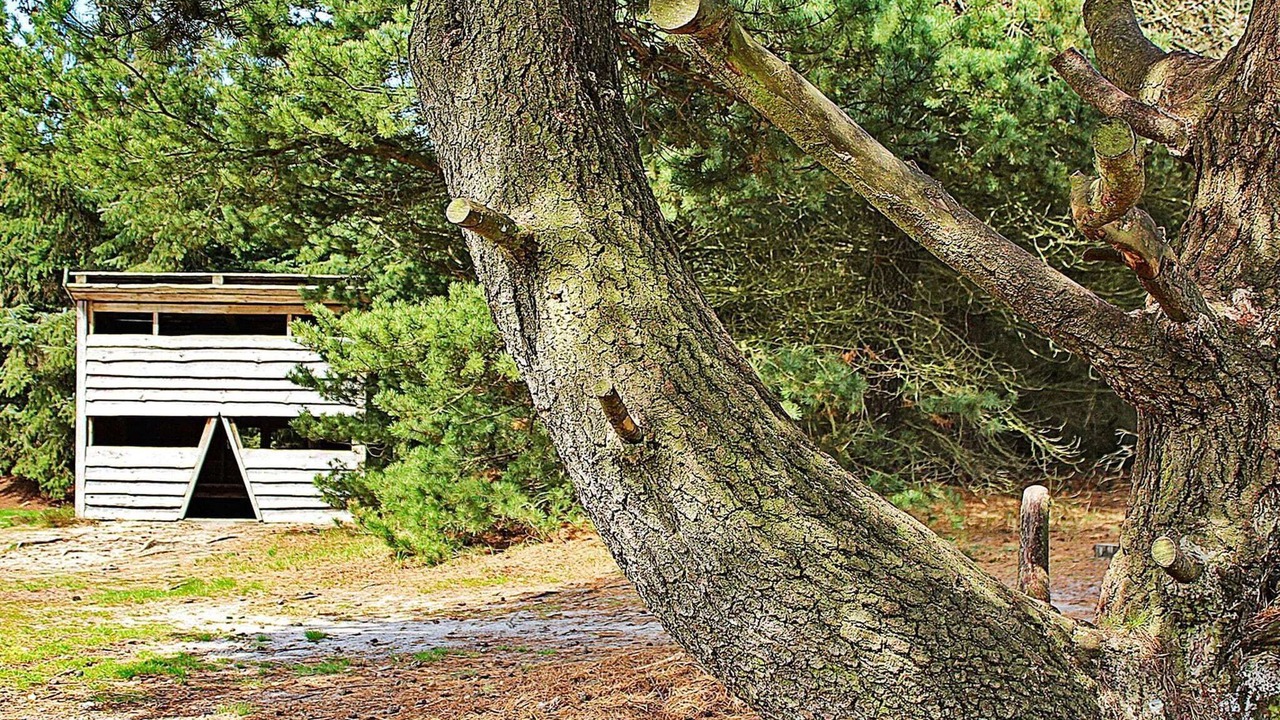 Photo of Others in Sønder Nissum