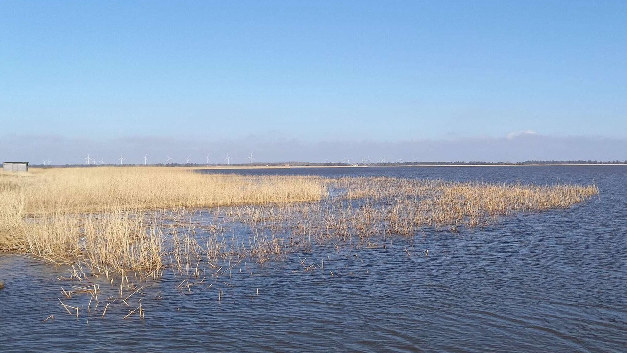 Photo of Outdoor in Sønder Nissum