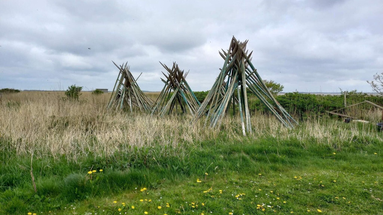 Photo of Outdoor in Sønder Nissum