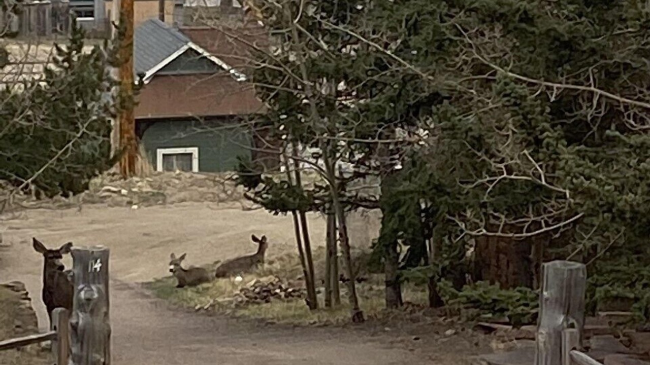 Photo of Others in Victor