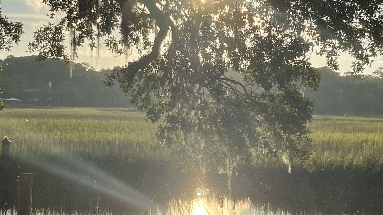 Photo of Outdoor in Edisto Island