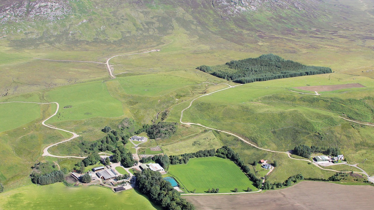 Photo of Others in Newtonmore