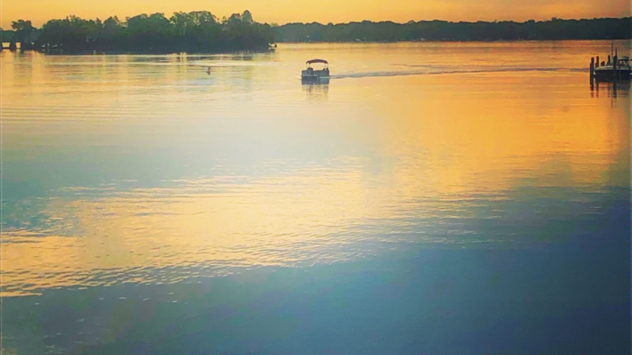 Photo of Others in Tonka Bay