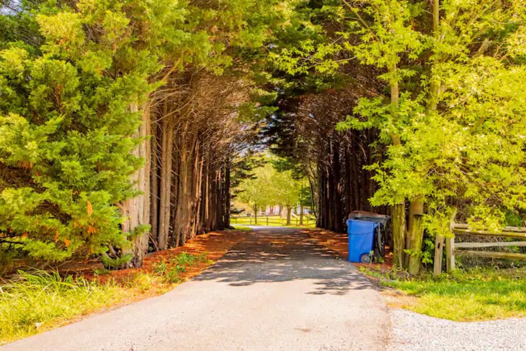 Photo of Outdoor in Stevensville