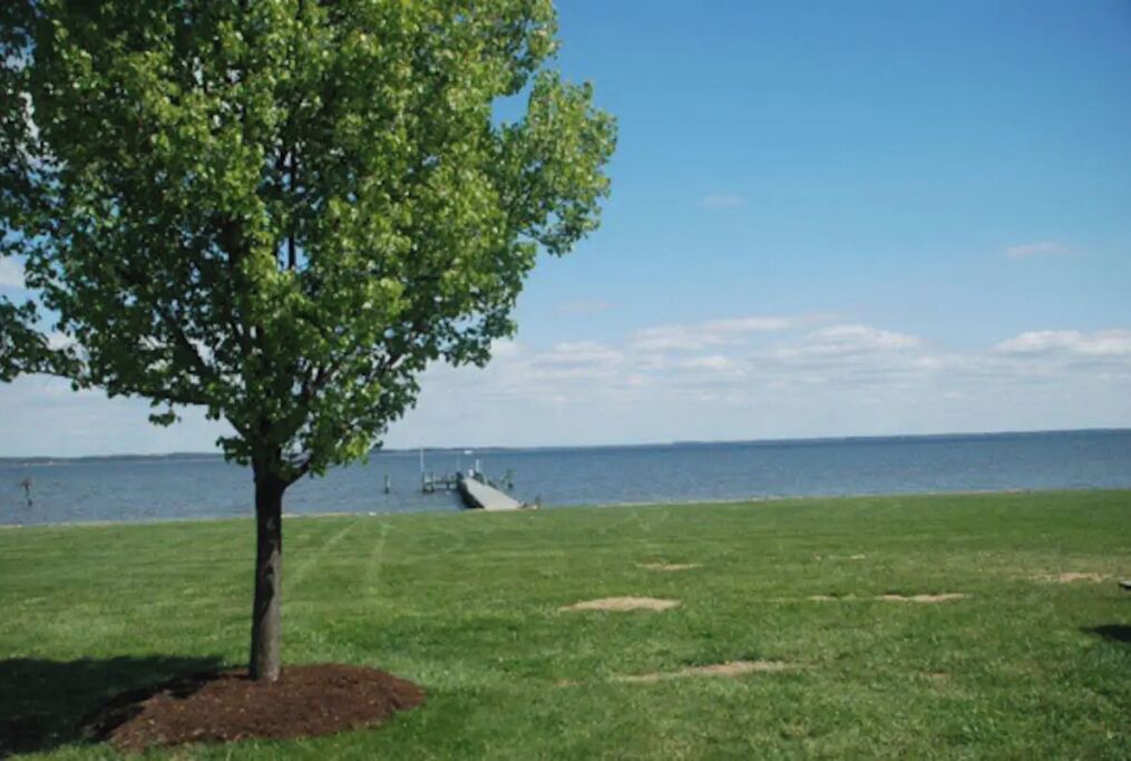 Photo of Others in Stevensville