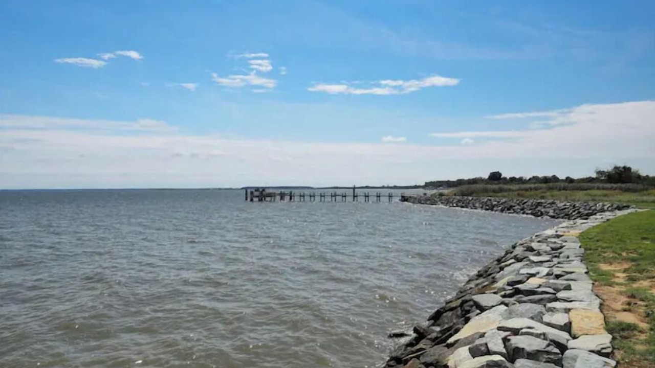 Photo of Others in Stevensville