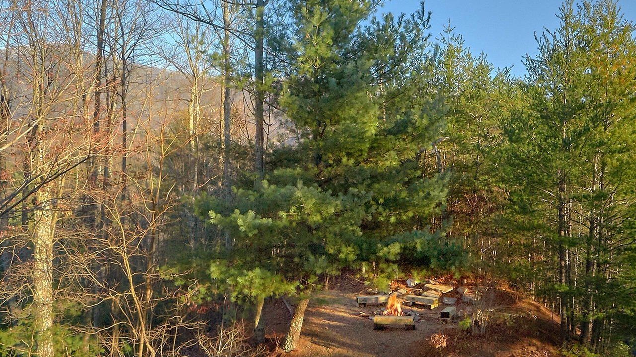 Photo of Outdoor in Wears Valley