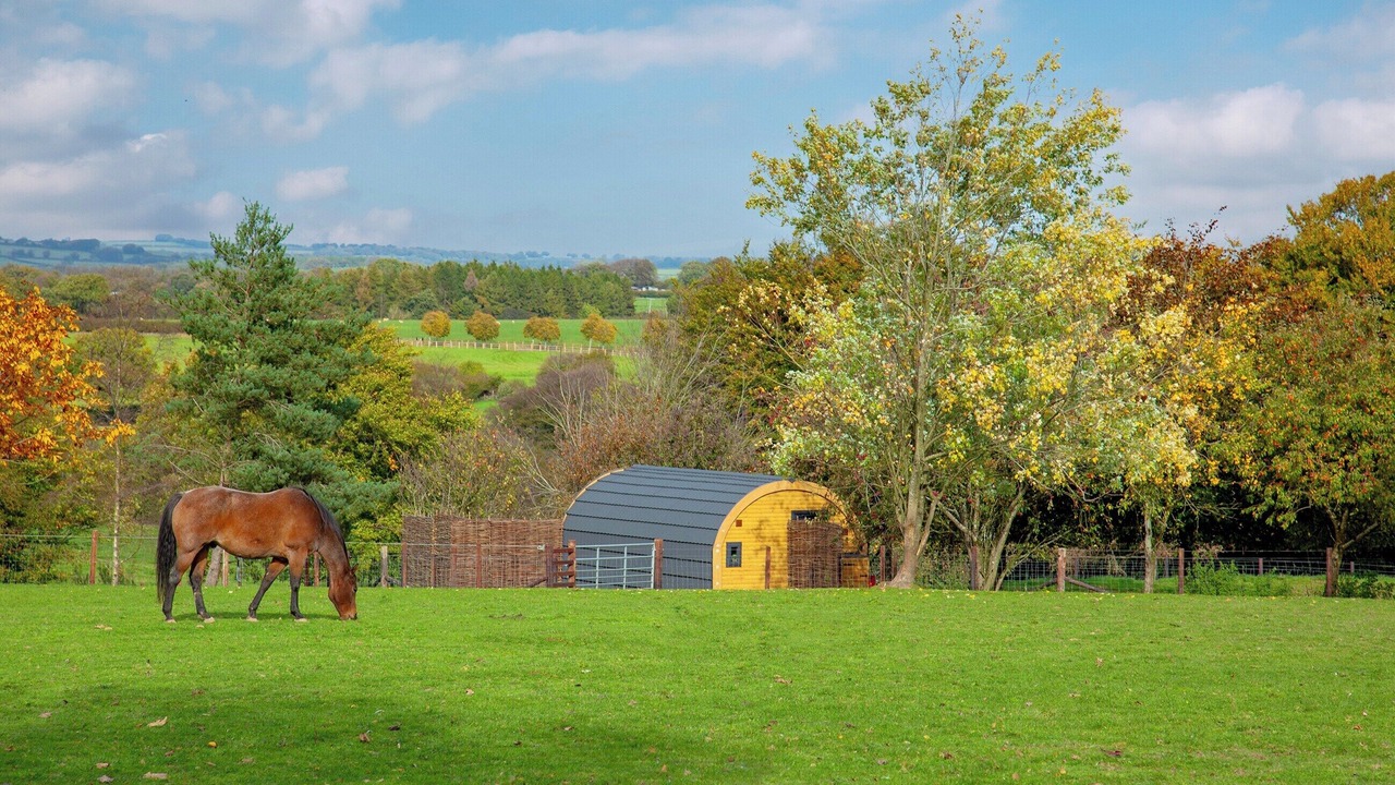 Photo of Outdoor in Christchurch