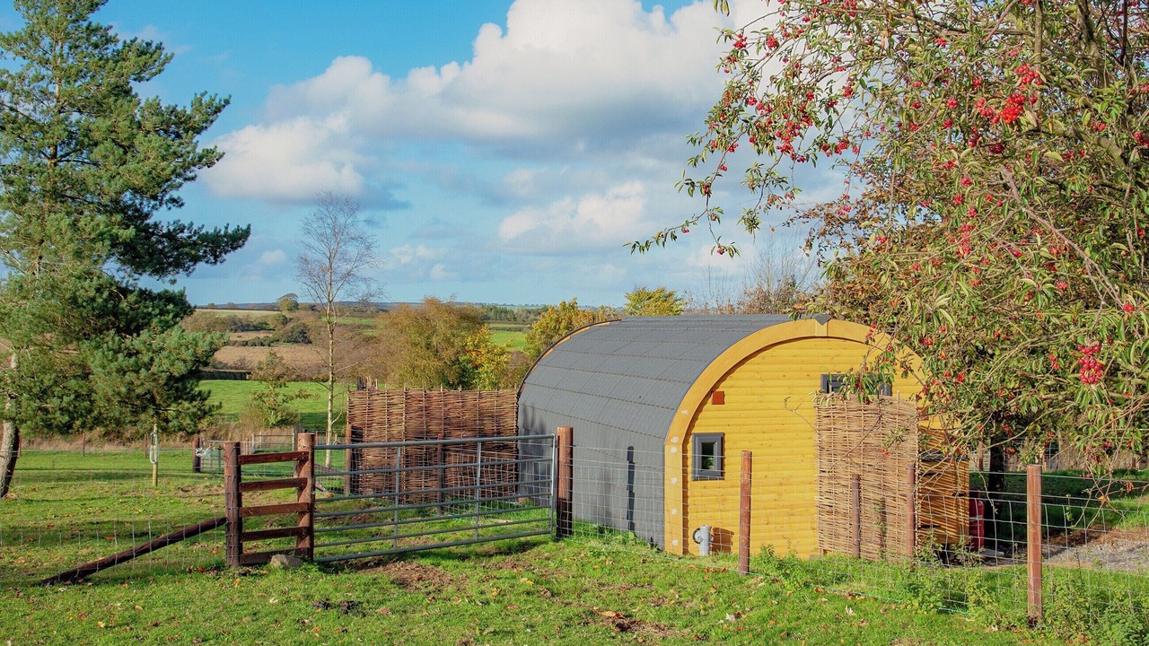 Photo of Outdoor in Christchurch