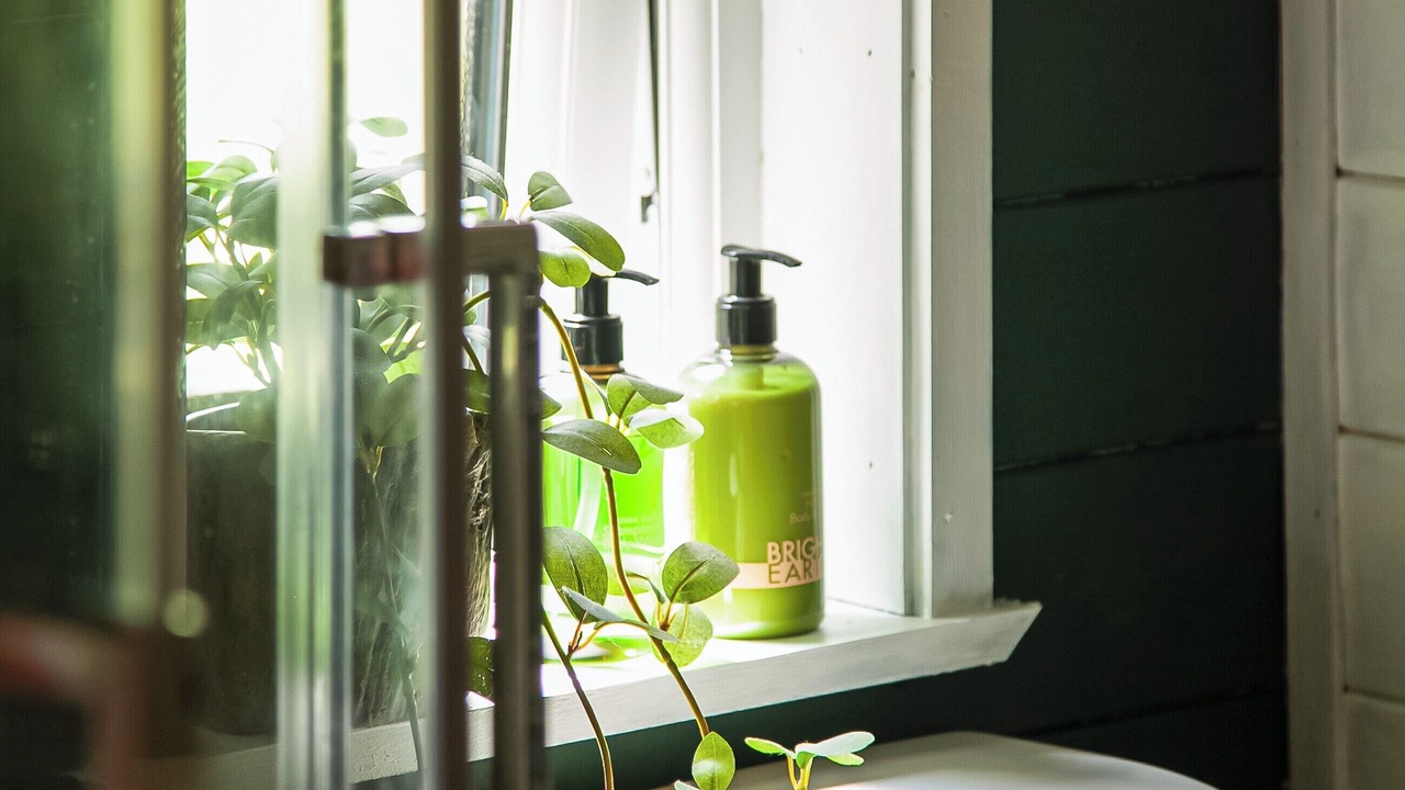 Photo of Bathroom in Christchurch