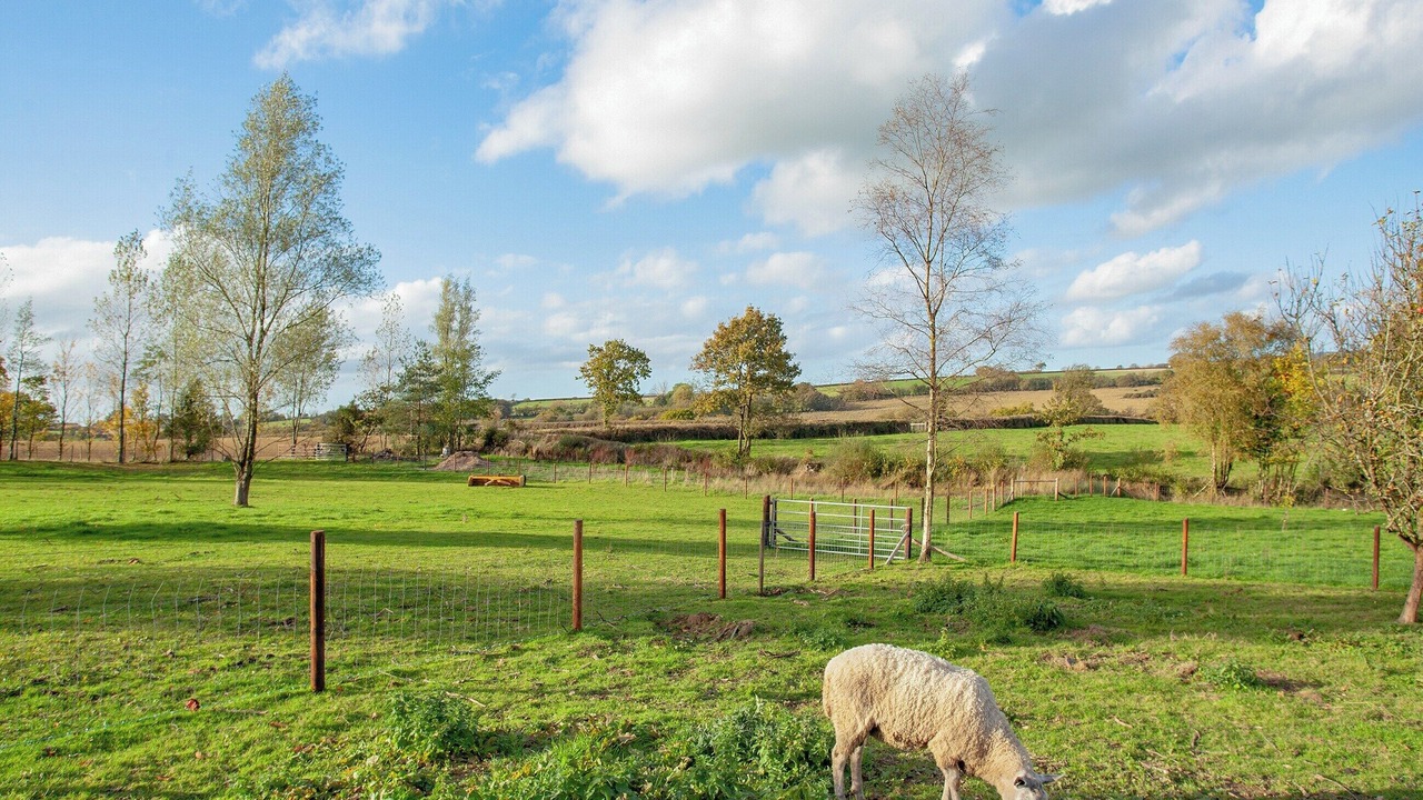 Photo of Others in Christchurch