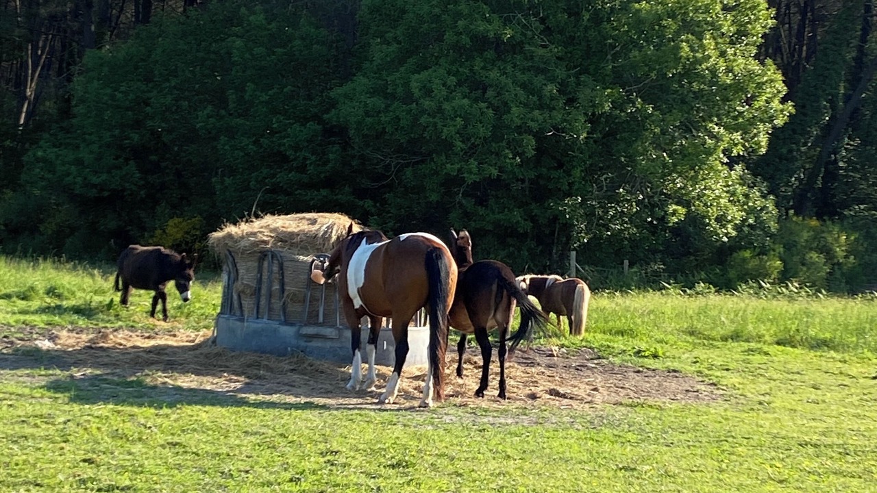 Photo of Others in Continvoir
