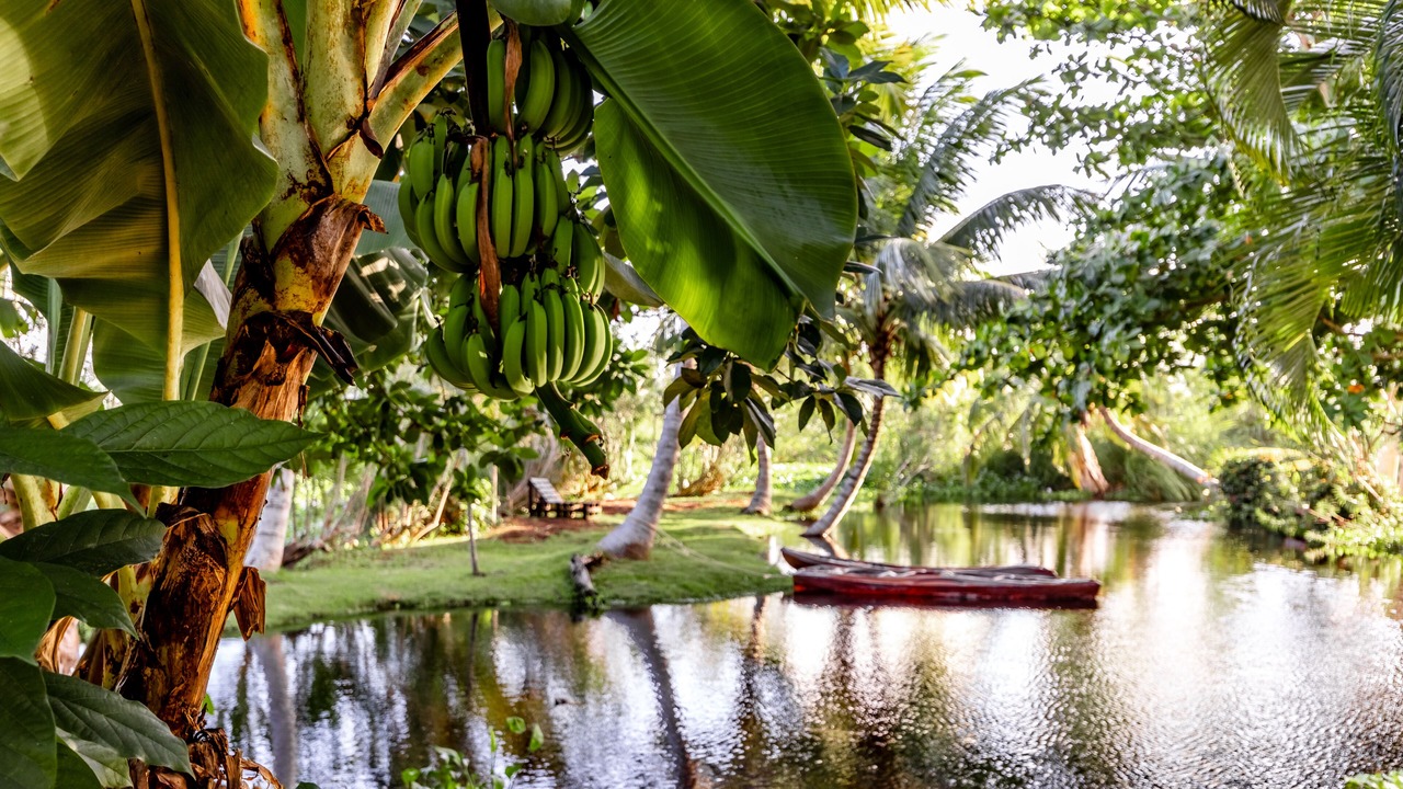 Photo of Bedroom in Cabarete