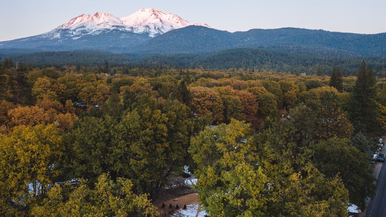 Photo of Others in Mount Shasta
