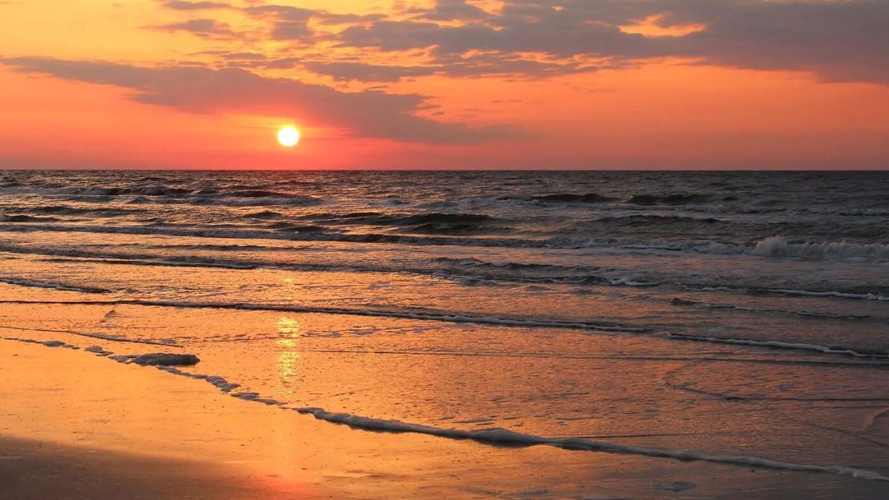Photo of Others in Jamaica Beach