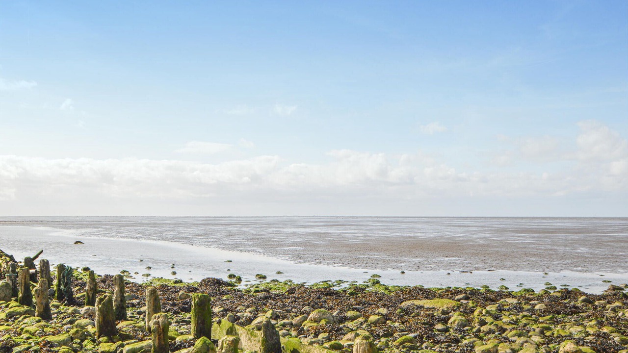 Photo of Others in Emmerlev