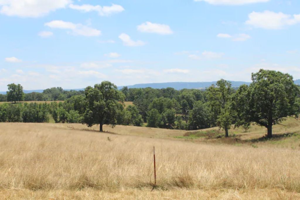 Photo of Others in Carroll County
