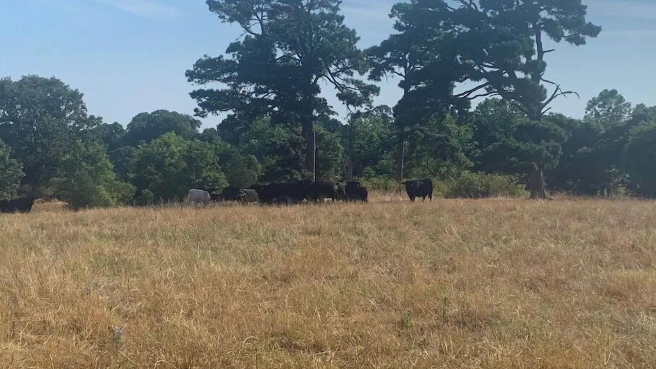 Photo of Outdoor in Carroll County