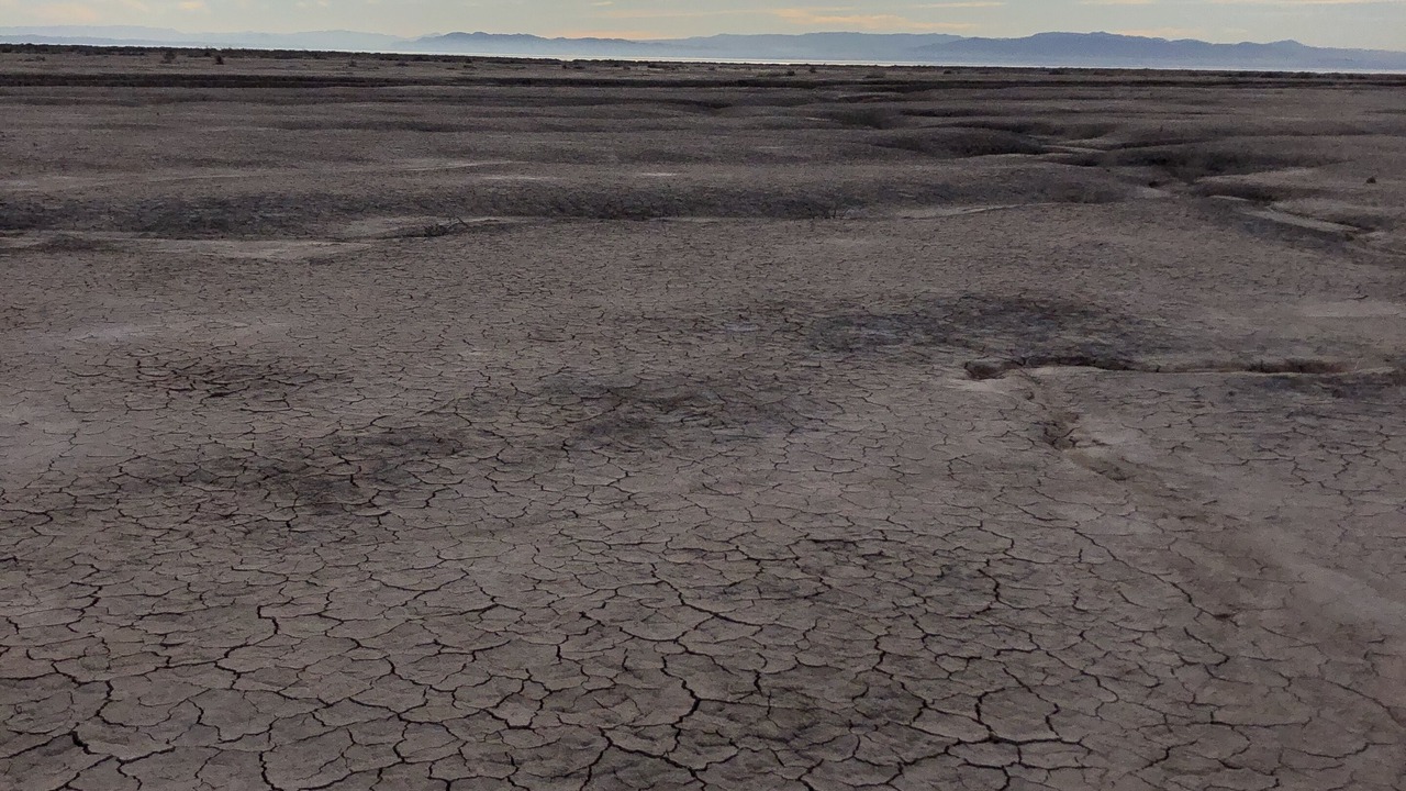 Photo of Others in Imperial County