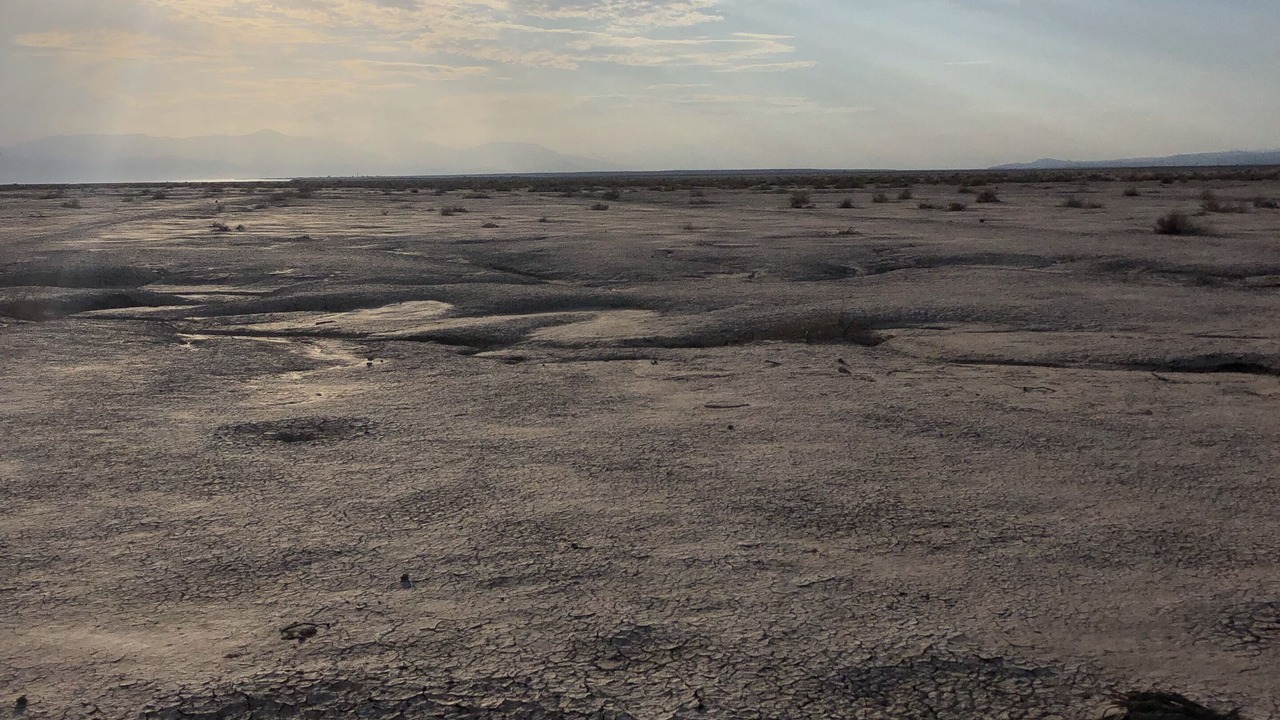 Photo of Others in Imperial County