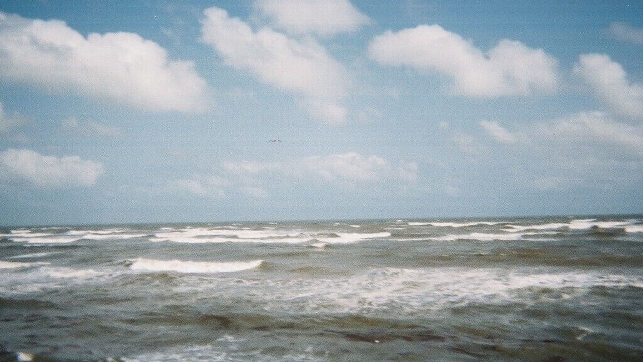 Photo of Others in Jamaica Beach