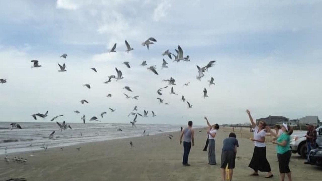 Photo of Others in Jamaica Beach