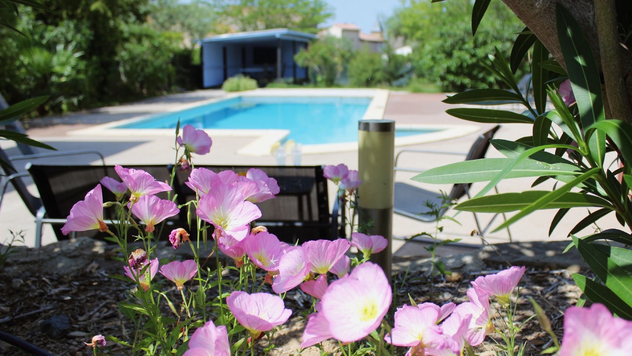 Photo of Outdoor in Oupia