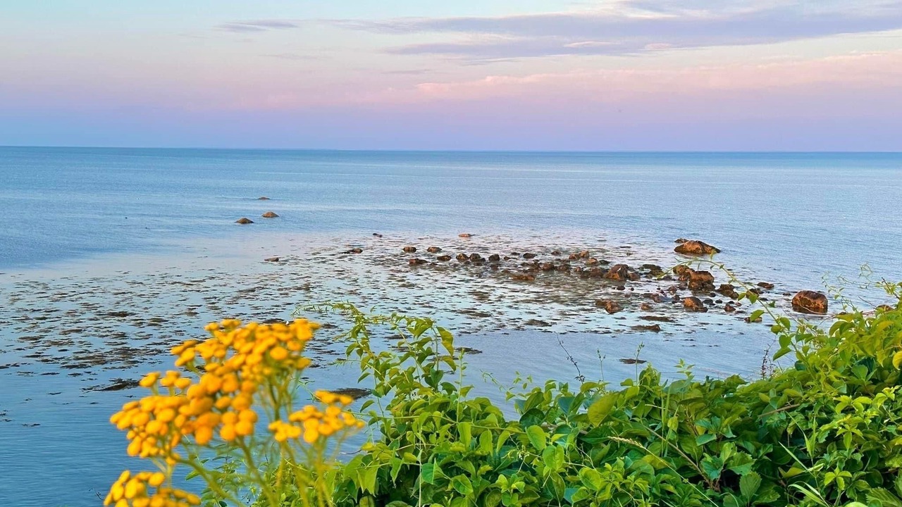 Photo of Others in Manomet