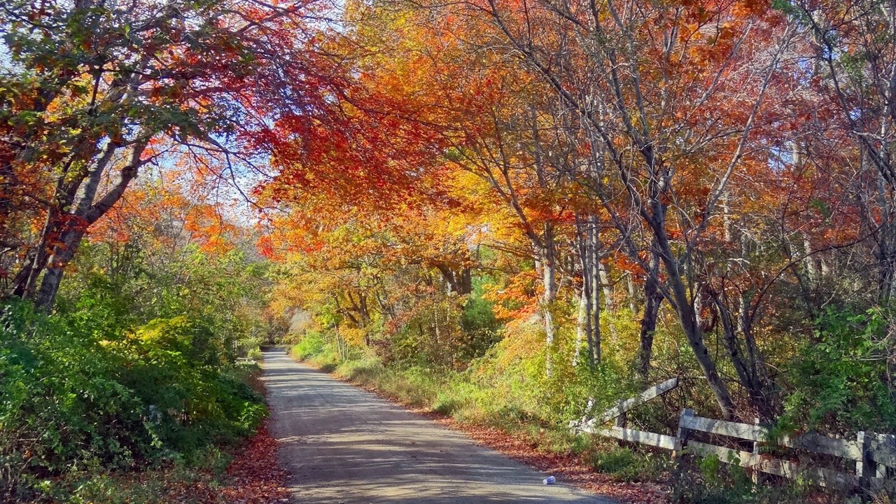 Photo of Outdoor in Manomet
