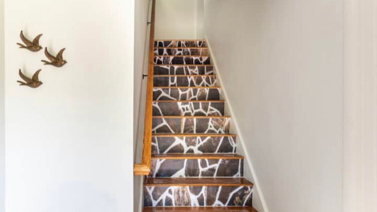 Photo of Others in Manomet