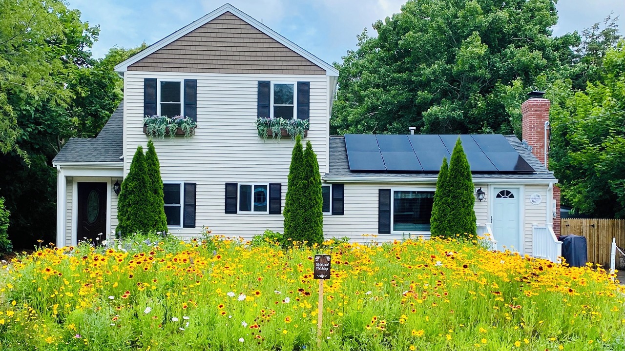 Photo of Others in Manomet