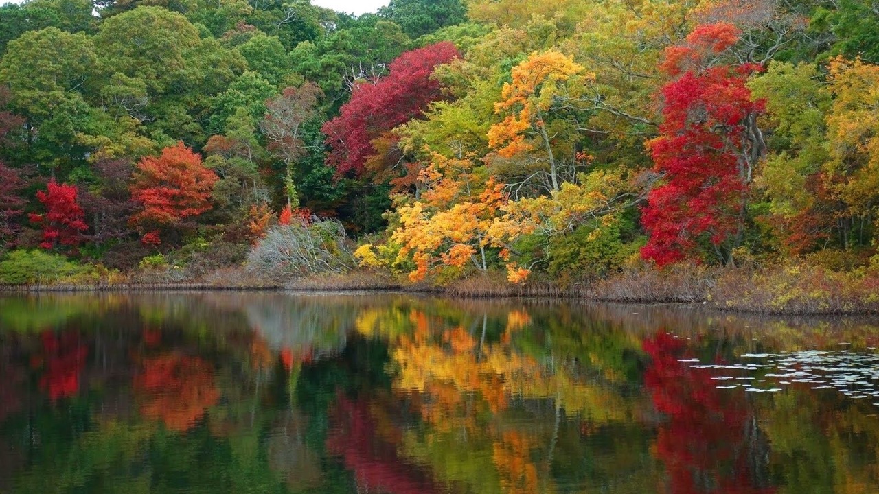 Photo of Outdoor in Manomet