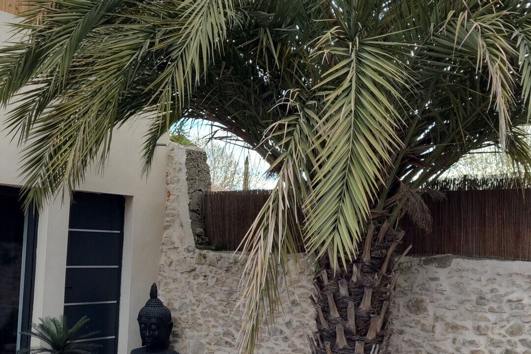 Photo of Patio Balcony in Vergeze