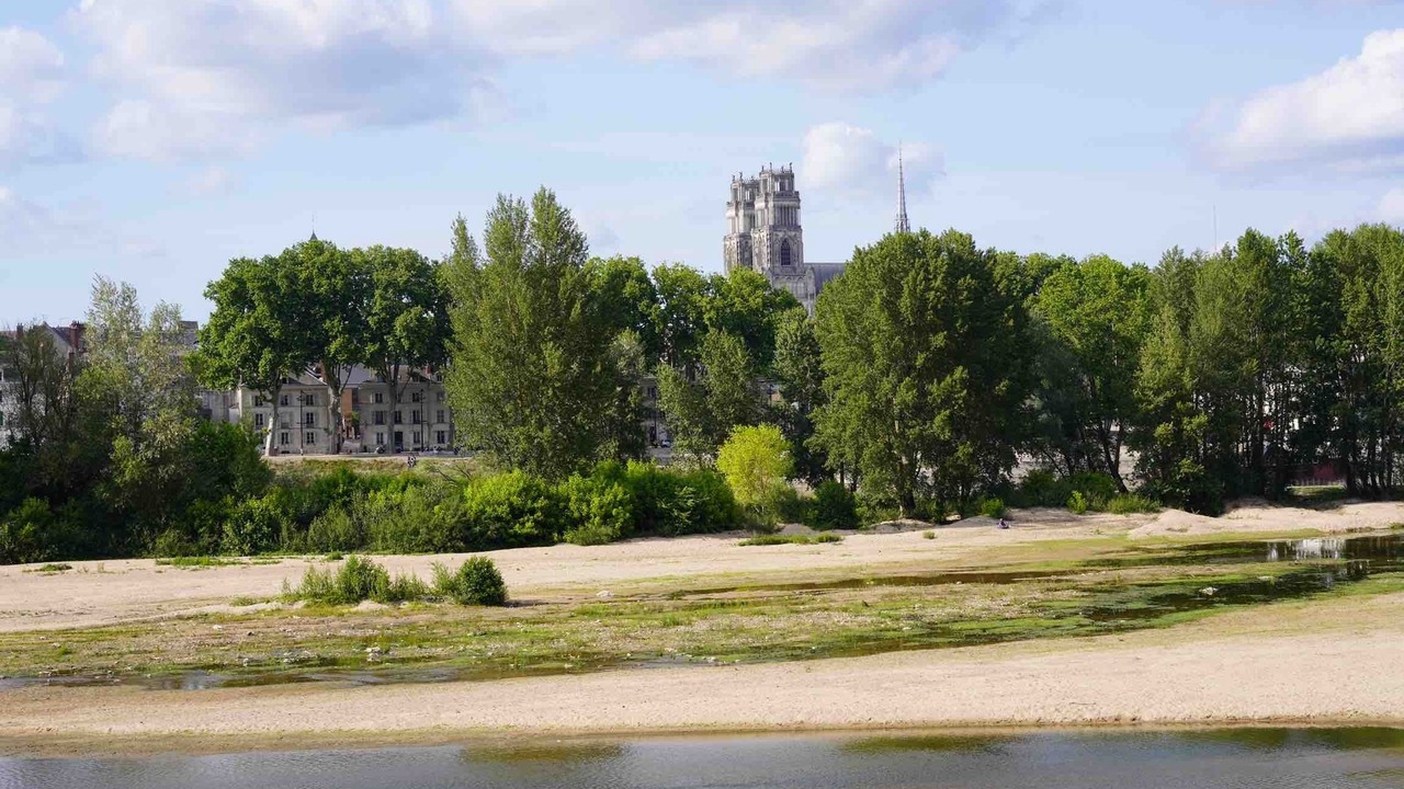 Photo of Others in Orleans