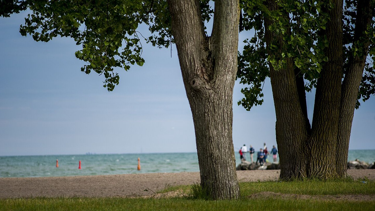 Photo of Others in Ruthven