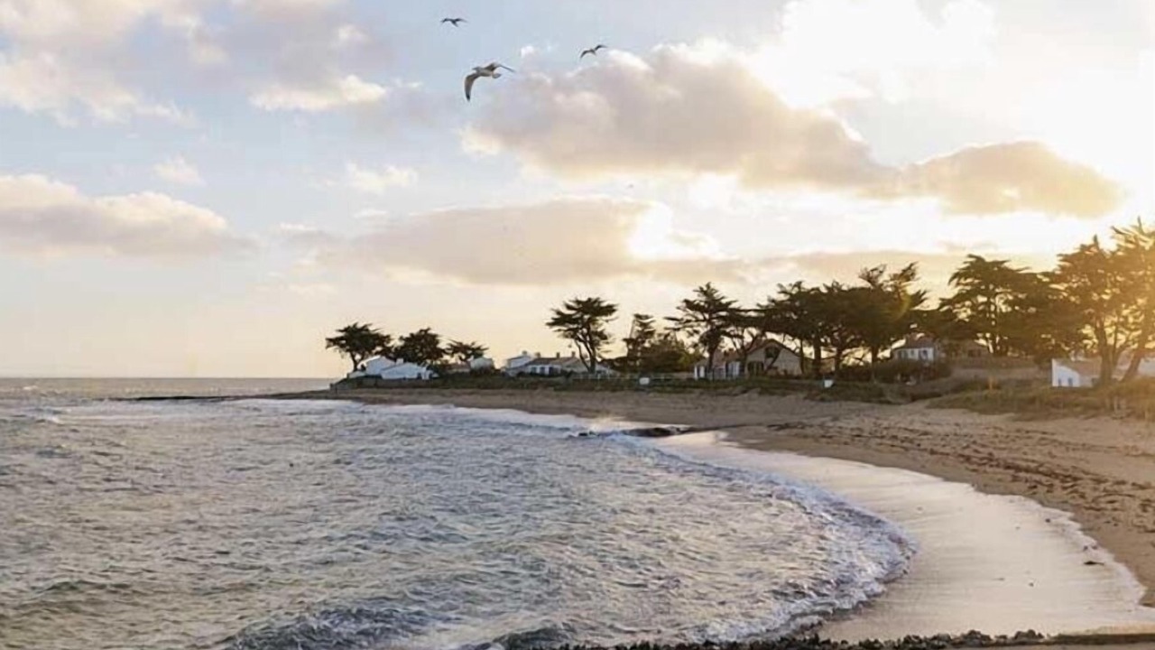 Photo of Others in Noirmoutier-en-l'Ile