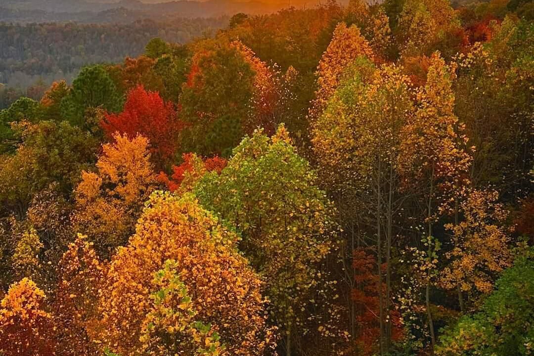 Photo of Others in Jefferson County