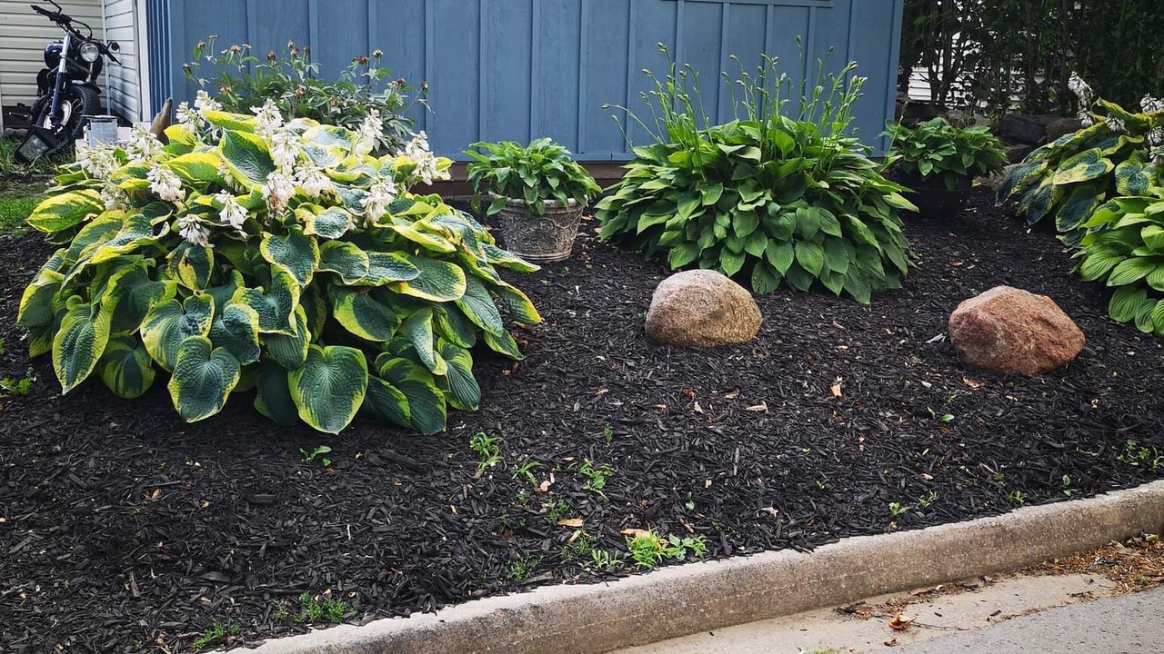 Photo of Outdoor in Port Dalhousie