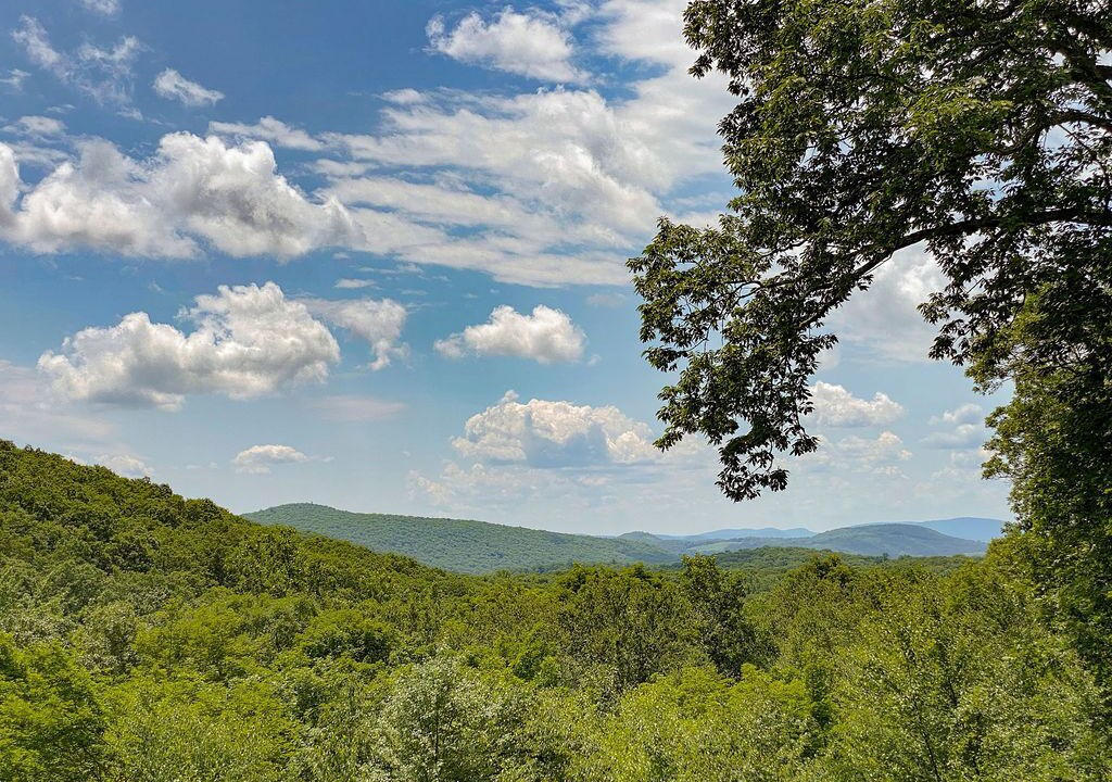 Photo of Others in Cold Spring