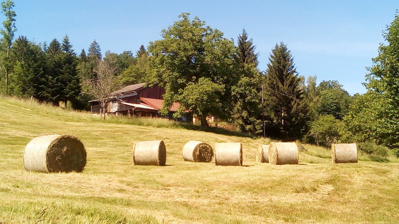 Photo of Outdoor in Bussang