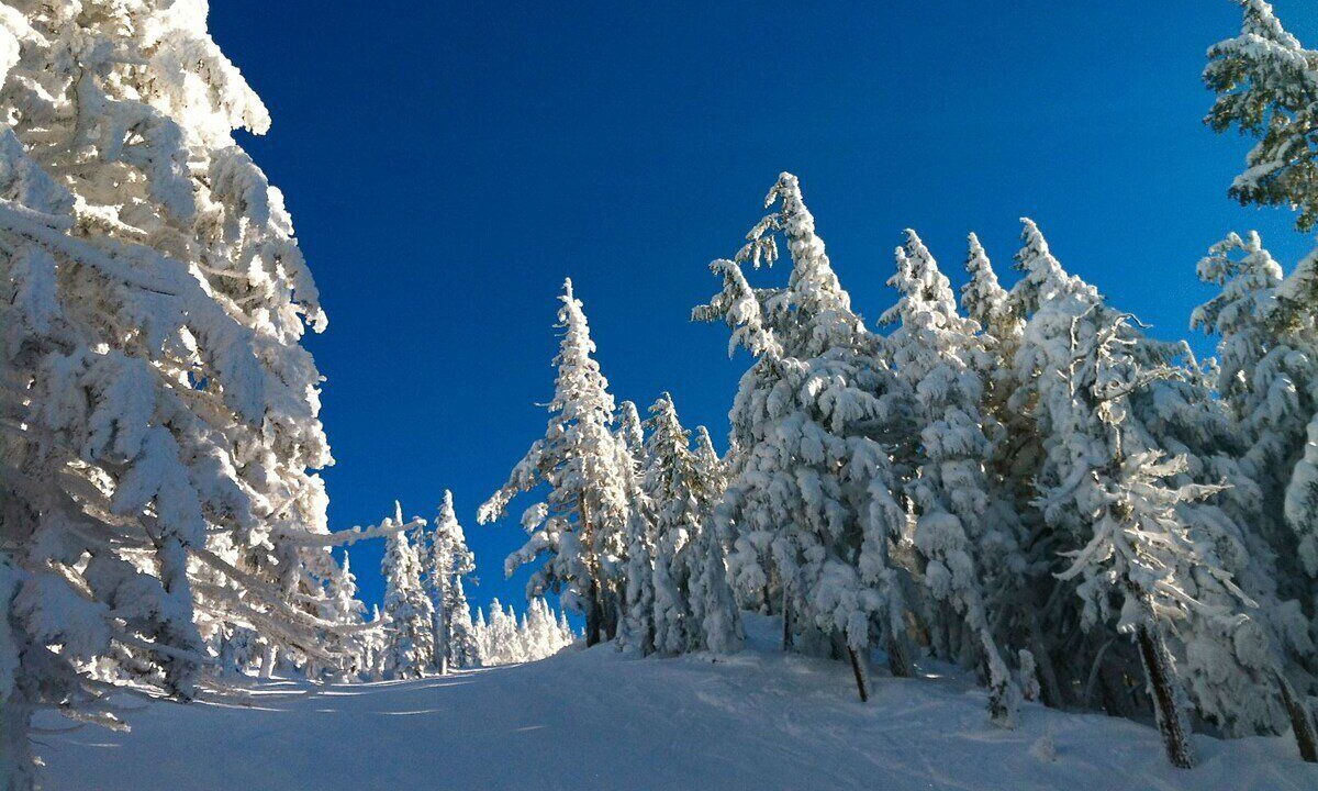 Photo of Others in Old Farm District