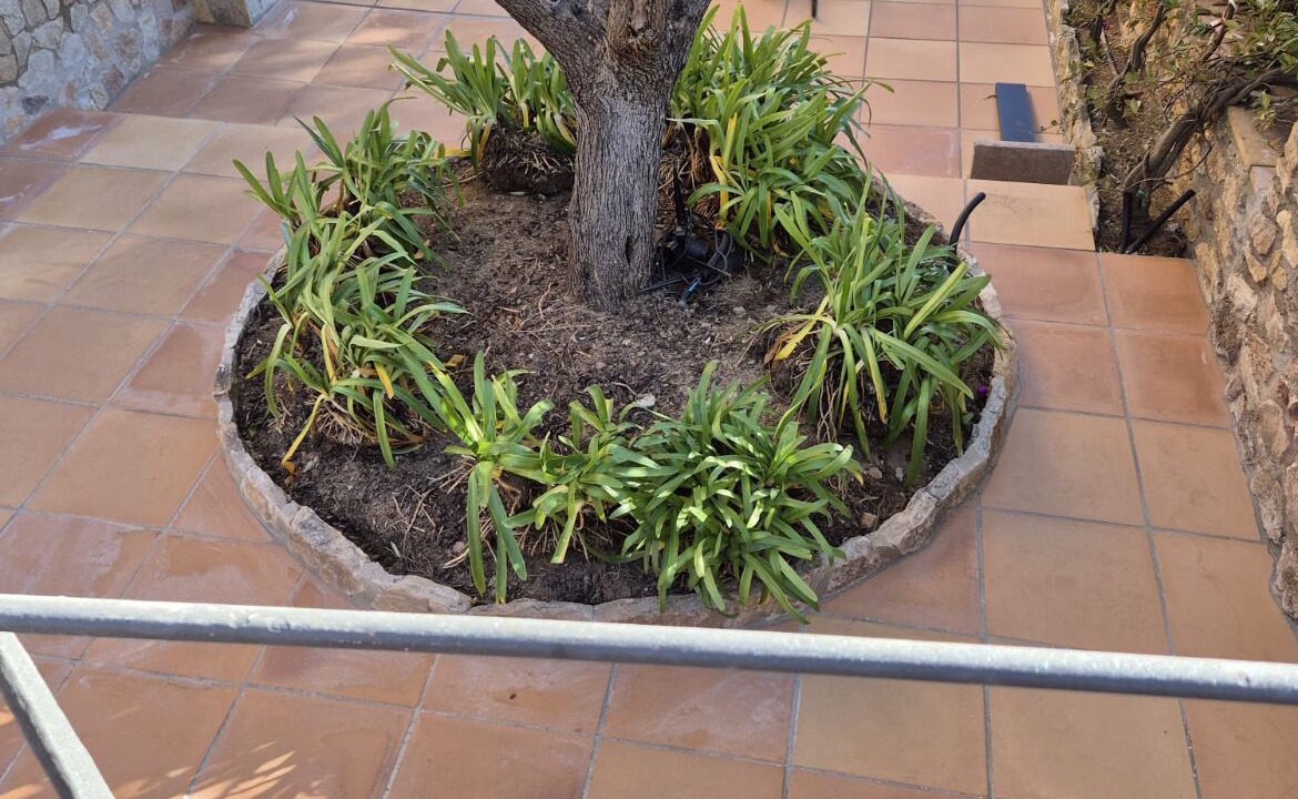 Photo of Patio Balcony in Aiguablava