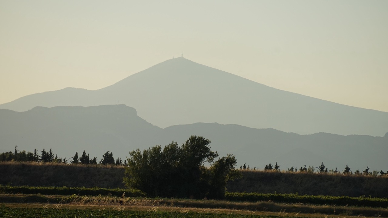 Photo of Outdoor in Piolenc