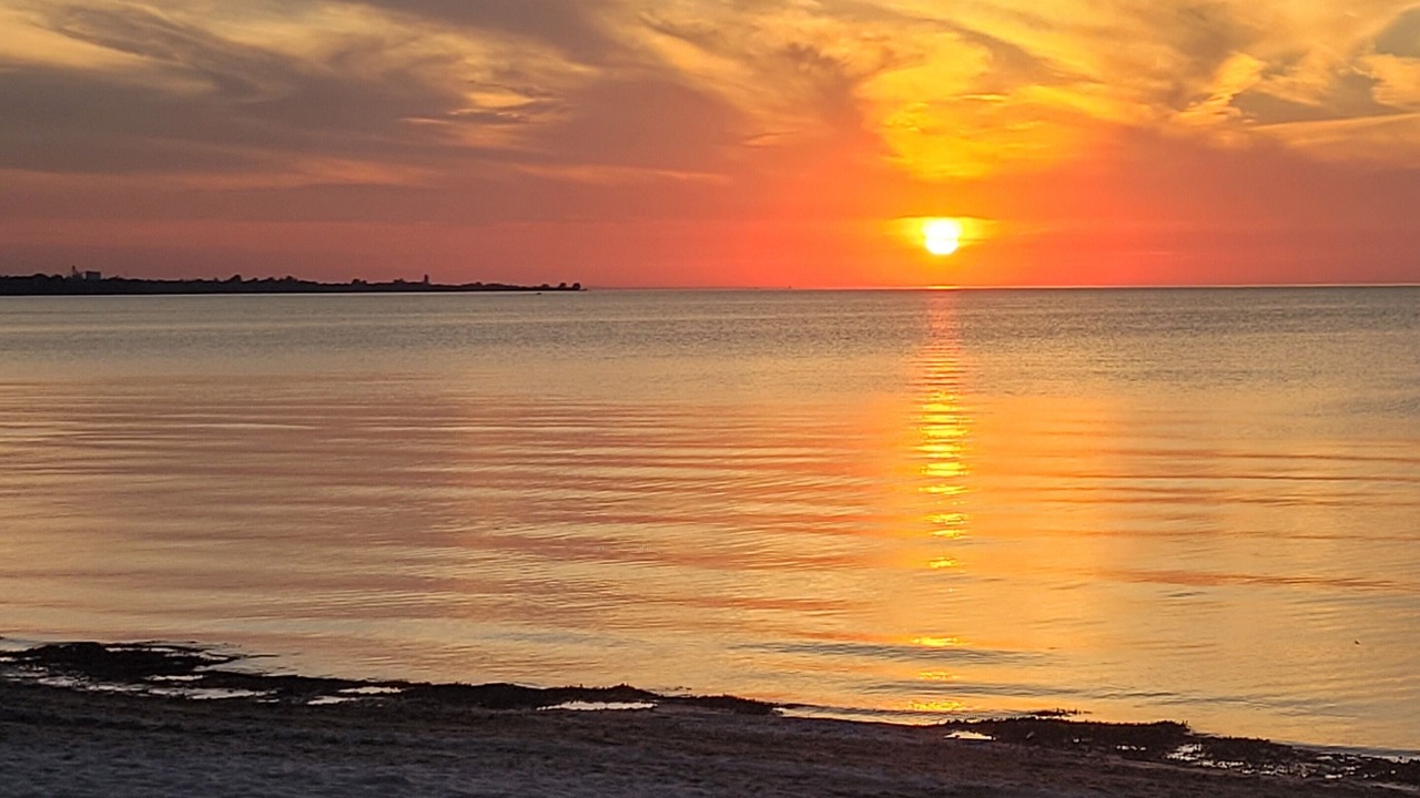 Photo of Others in Wasaga Beach