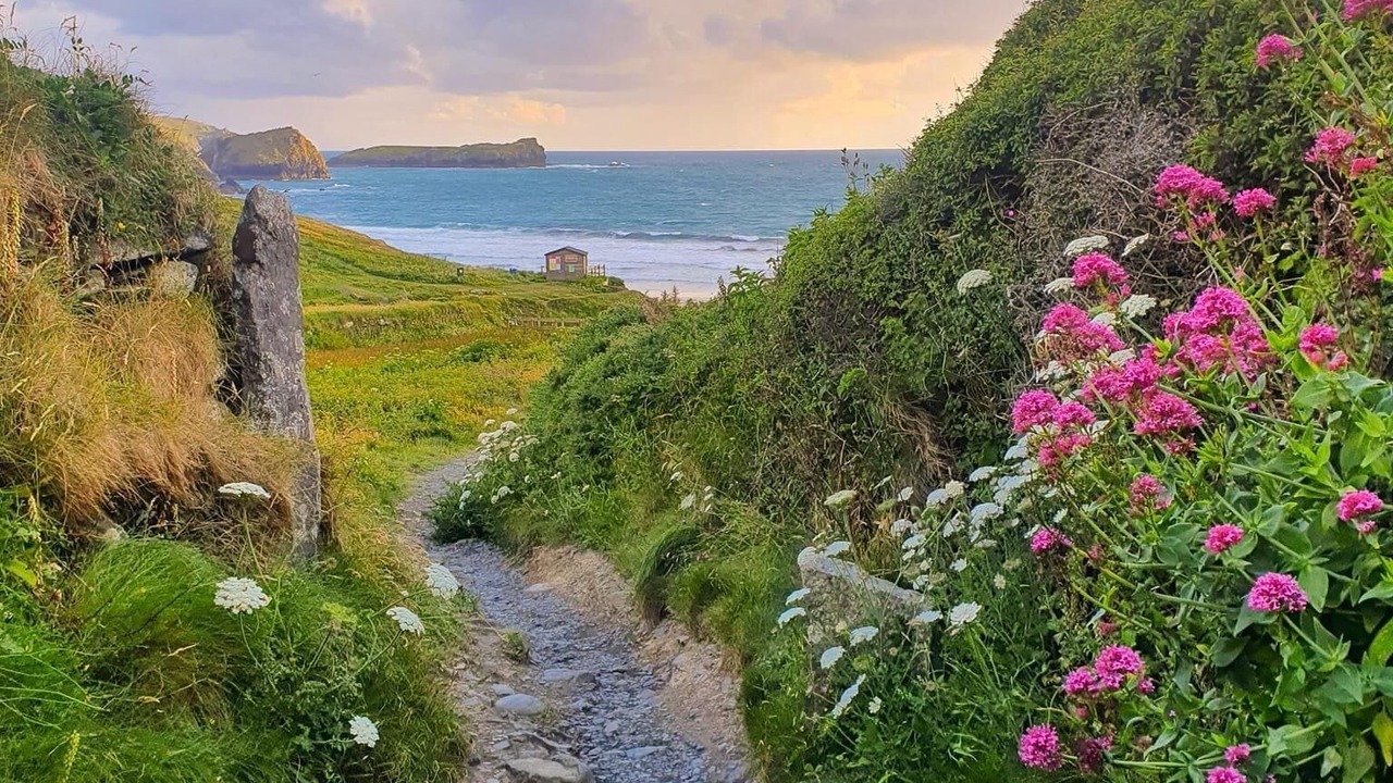 Photo of Others in Grade