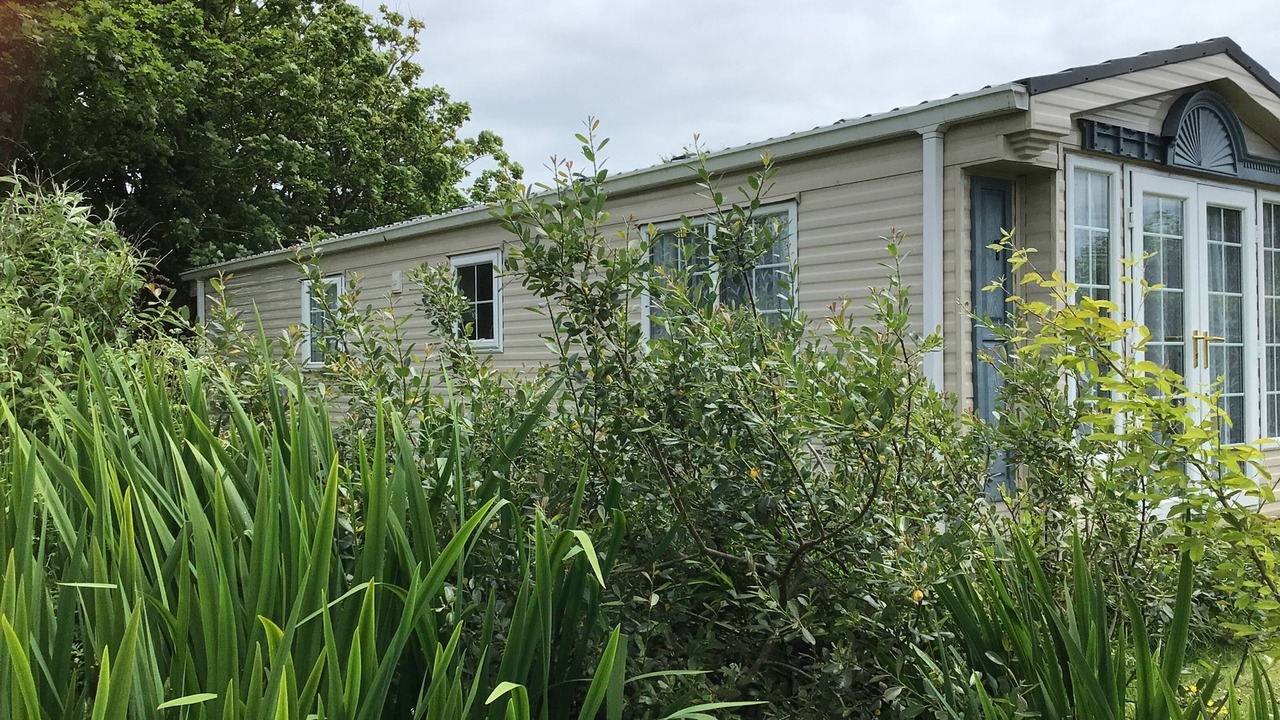 Photo of Others in Grade