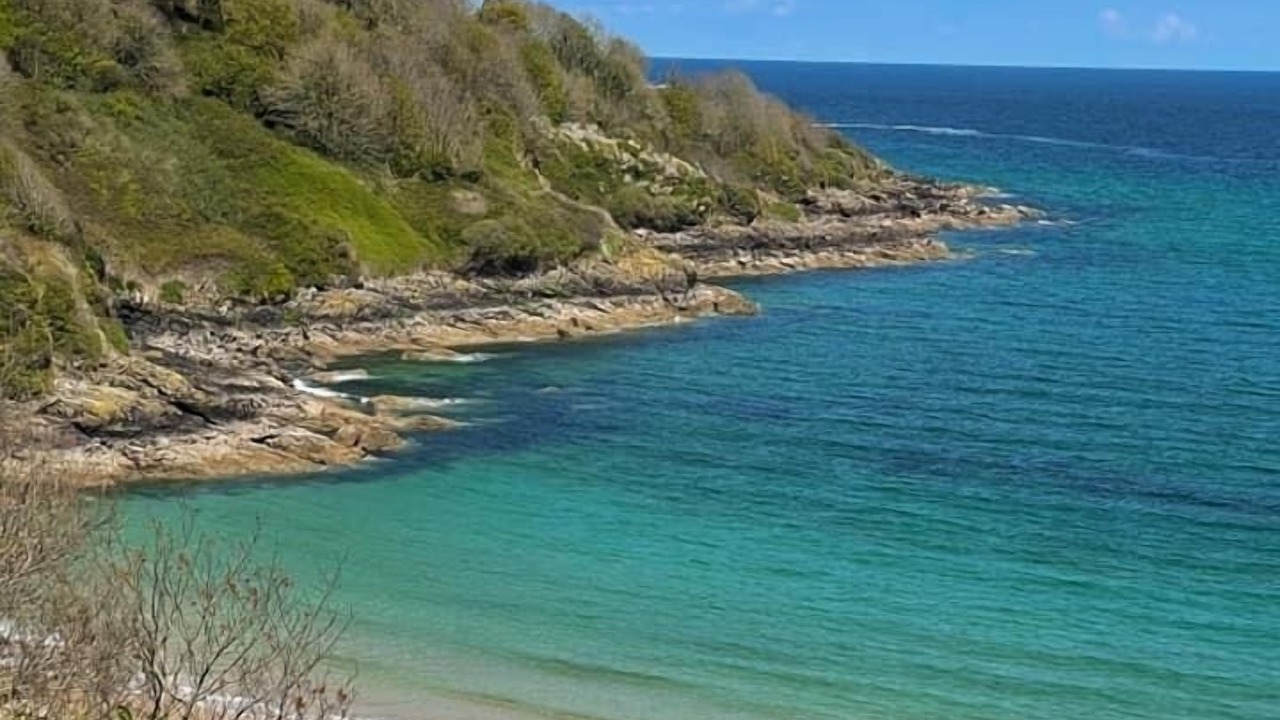 Photo of Others in Grade