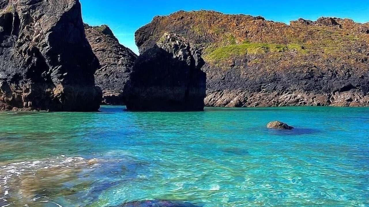 Photo of Others in Grade